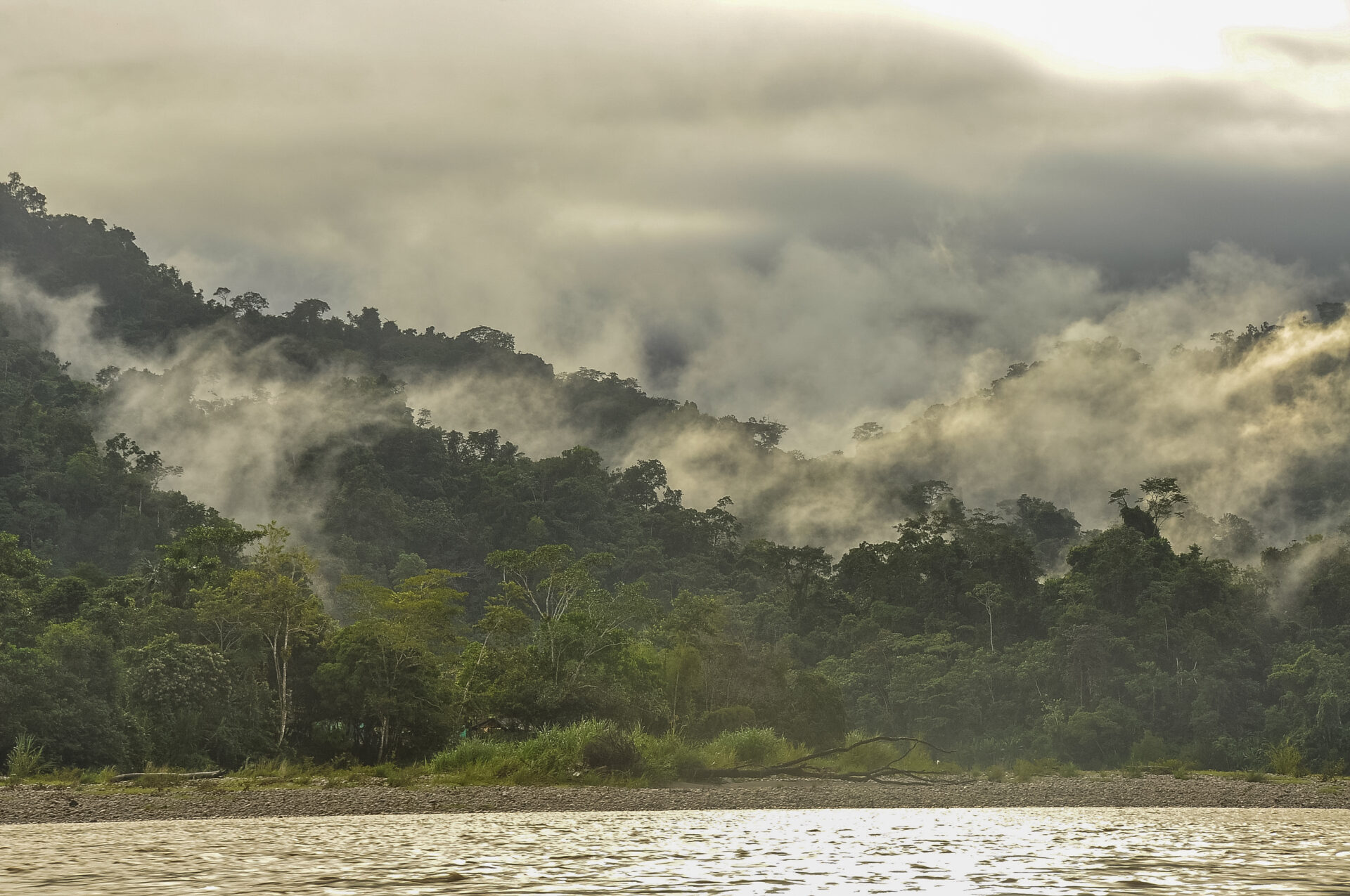Die Zerstörung des Regenwaldes am Beispiel Peru