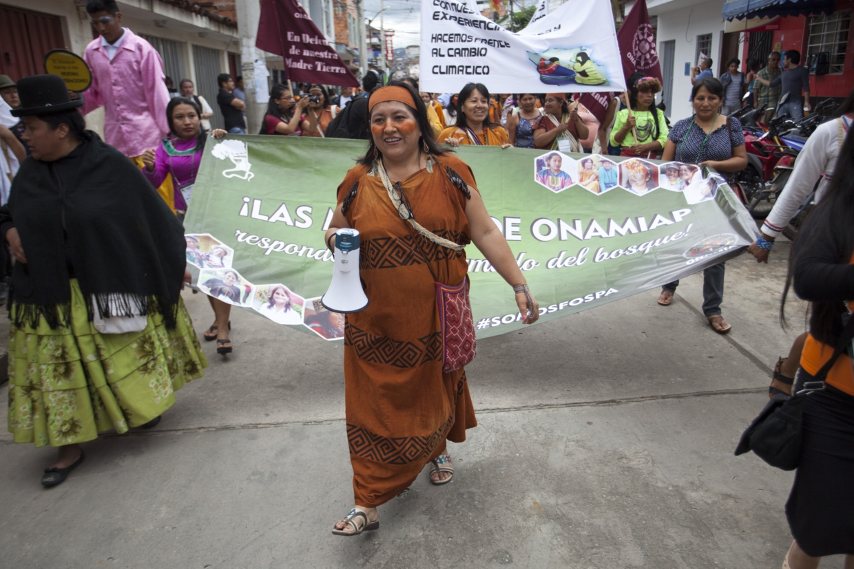 Hüterinnen des Amazonasregenwaldes – Strategien der indigenen Frauen zur Bekämpfung des Klimawandels