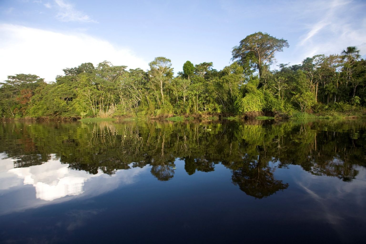 Freiburg meets Amazonien – gemeinsam für den Klimaschutz