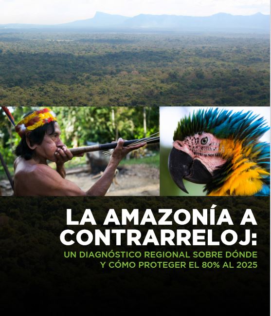 Wettlauf gegen die Zeit: Indigene Territorien und die Rettung Amazoniens